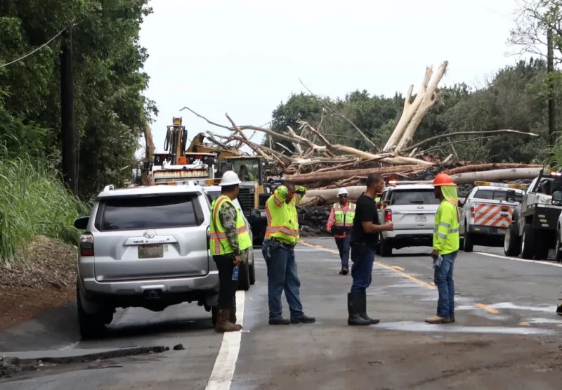 Hurricane Lala prompts Hawai'i County Council to explore ways to proactively manage vegetation