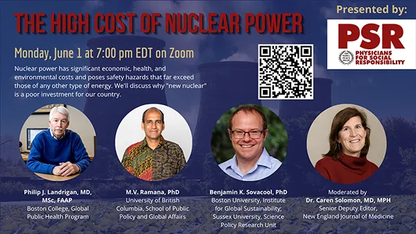 The High Cost Of Nuclear Power