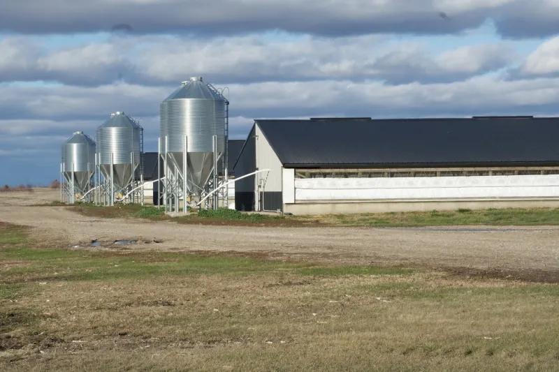 A Corn Belt surprise: Water pollution and cancer are on the ballot