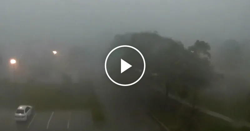 Thunderstorms Send Pounding Rain and High Winds Across Midwest