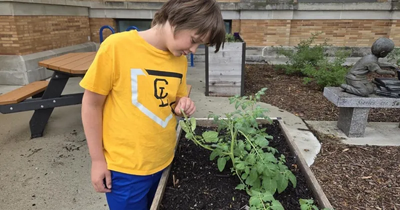 Hydro Heroes: Clear Lake kids learning to grow veggies during public library class