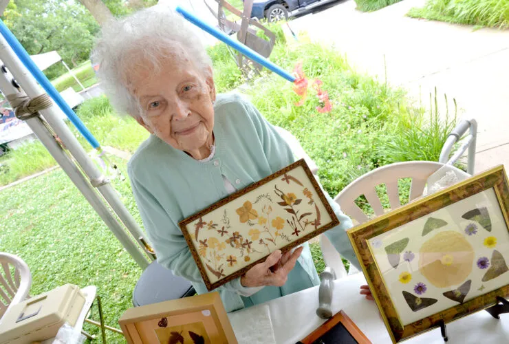 Art on the lawn