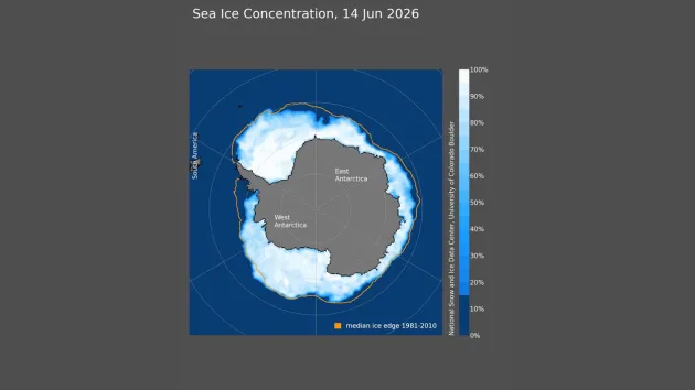 Massive chunk of sea ice has not refrozen in West Antarctica, satellite images show
