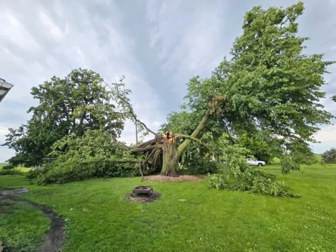 After the storm