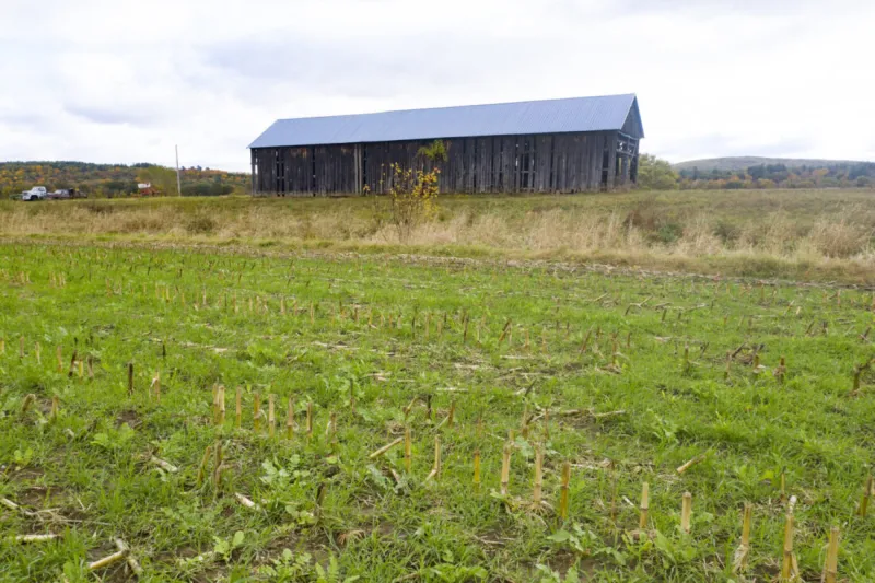 Iowa ag department launches Des Moines watershed program, cover crop incentives
