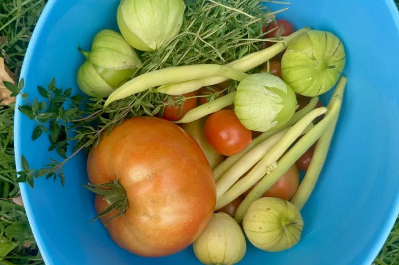 Choose Iowa farm crawl returns with nearly 60 participating farms
