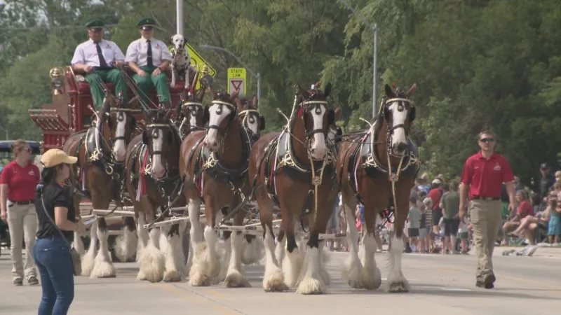 Budweiser Clydesdales lead as Sturgis Falls Parade marks festival's 50th anniversary