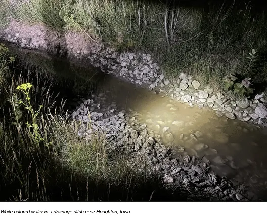 DNR investigating fish kill in Lee County