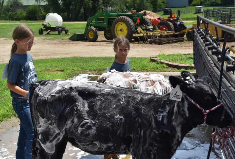 Prepping, setup underway for Central Iowa Fair