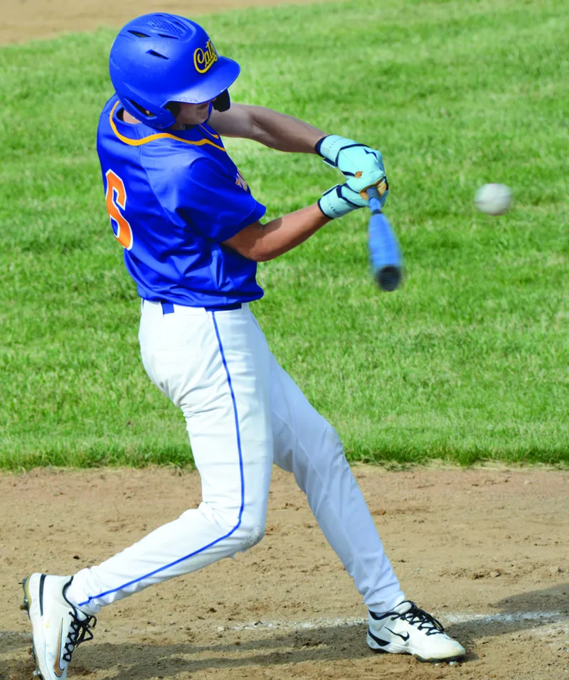 Wildcat baseball team to 19-8 overall