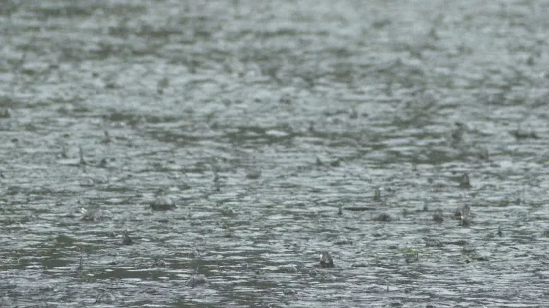 State assessing Polk County flood damage after heavy rain