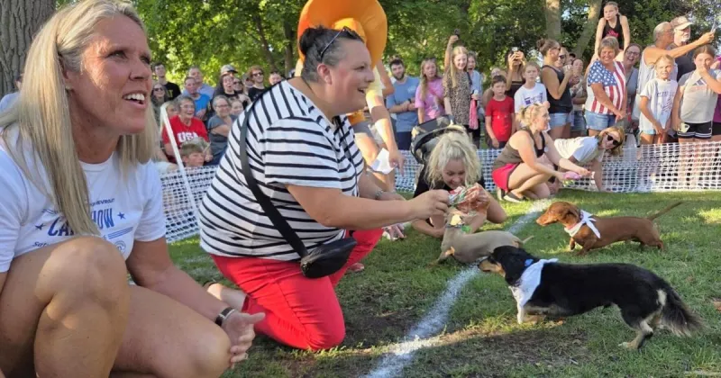 Hot Diggity Dog! Dachshund race held in Clear Lake