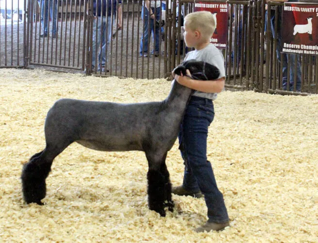Racing, rodeo, and family fun