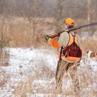 Iowa pheasant outlook once again good for hunters