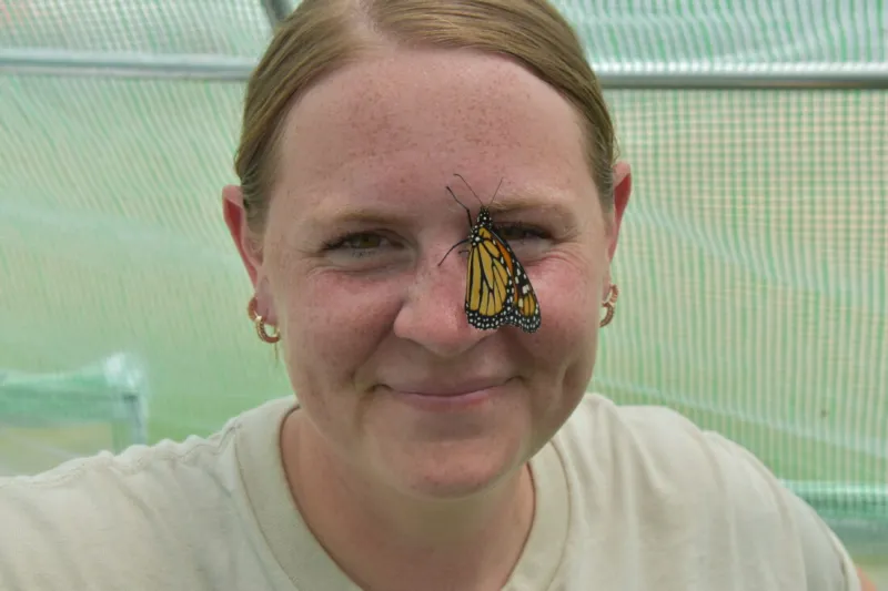 Social butterflies
