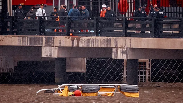 Bird strike likely caused New York City helicopter crash in Hudson River: NTSB