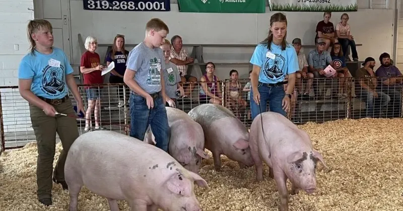 Black Hawk County 4-H and FFA fair runs Sunday through Thursday