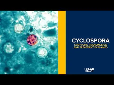 Trump Admin Actions Foster Cyclsporiasis