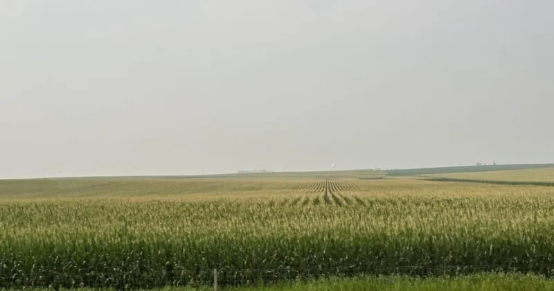 Hot, dry weather keeps Iowa crops ahead of schedule