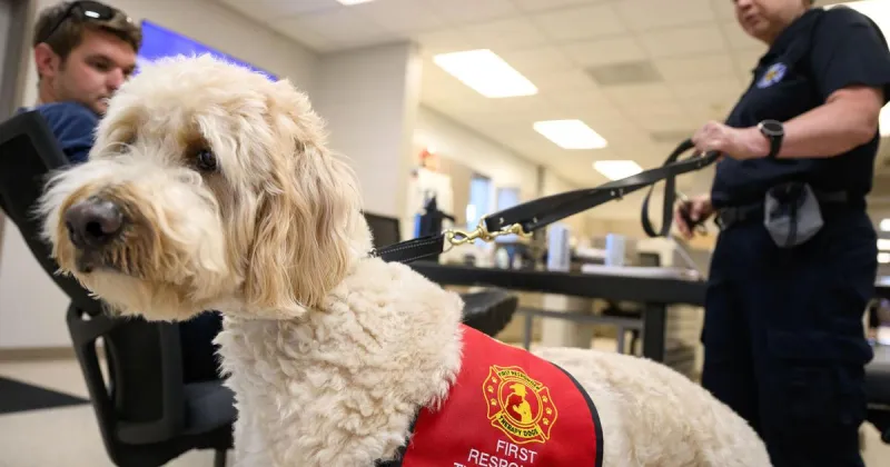 Therapy dog brings calm and comfort to Sioux City first responders