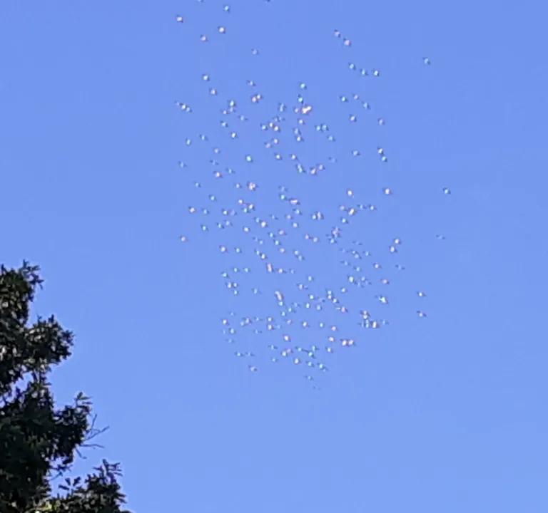 Mysterious and massive drone invasion over Marshalltown