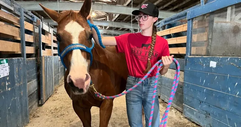 Best in show: Youths' hard work culminates at Black Hawk County 4-H and FFA Fair