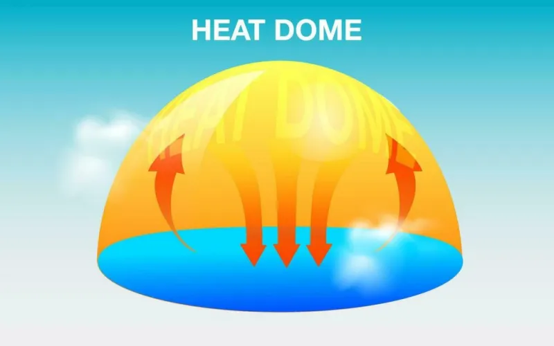 State Climatologist explains impact of 'heat dome' and 'corn sweat'