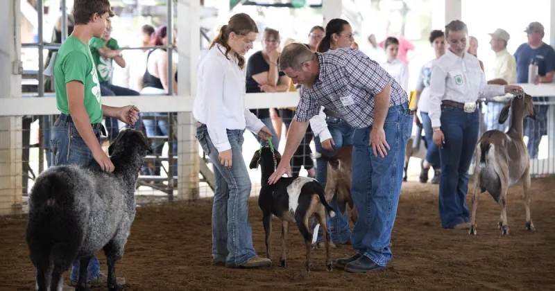 Five Questions with ... county fair livestock judge Brad Weir