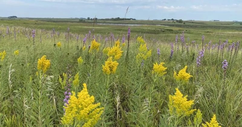 National wildlife refuge auto trail in Kossuth County opens Aug. 1
