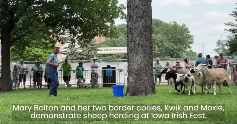 Kilts cover Iowa Irish Fest grounds during 20th annual event