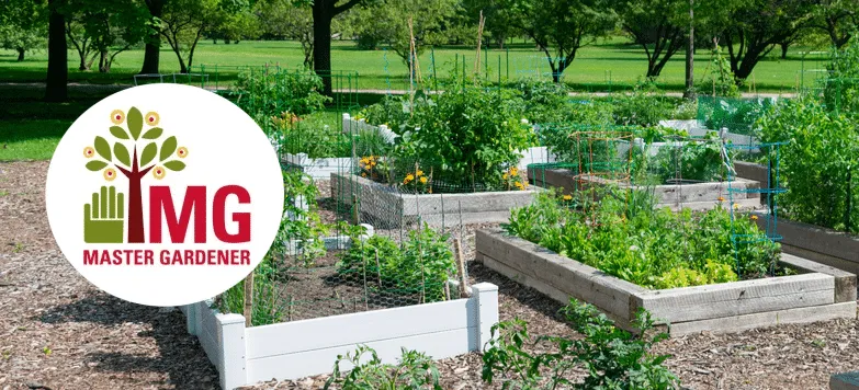 Fall Master Gardener Volunteer Training Available in Cass and Adair Counties