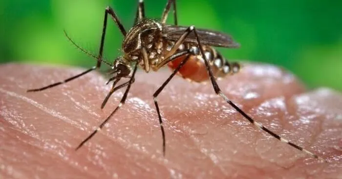 First 2026 case of West Nile virus reported in Iowa