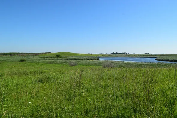 North Iowa Outdoors: Habitat Variety Draws Visitors to Lake Iowa and Lake Iowa Marsh