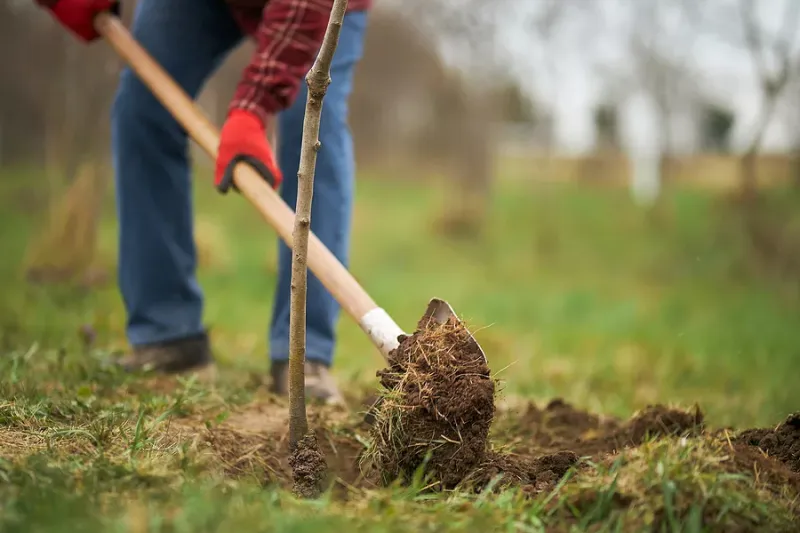 Hoover Elementary Families to Beautify School Grounds Ahead of New Academic Year