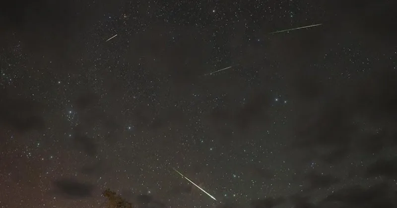 Watch the Perseids meteor shower Friday at Crescent Hill at Hitchcock