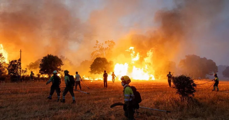 How the hard reality of climate change hit Europe's economy this summer