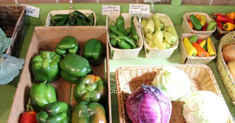 North Iowa Local Food Trail set for Aug. 22 to feature meat, fresh produce