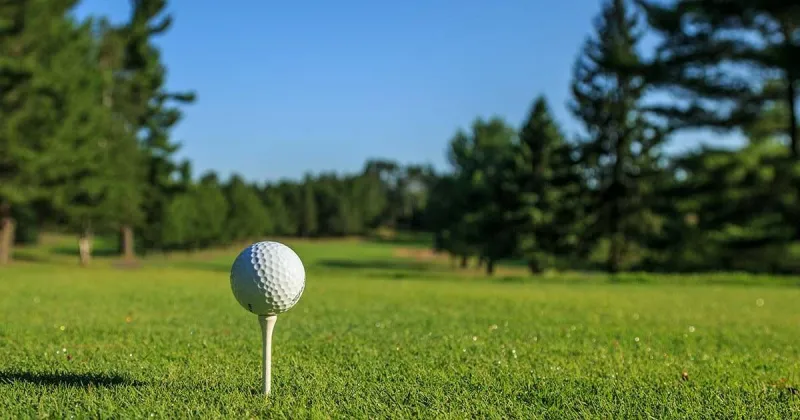 KMAland Boys Golf (8/18): Heelan, East, Shultz, Schettler post low scores