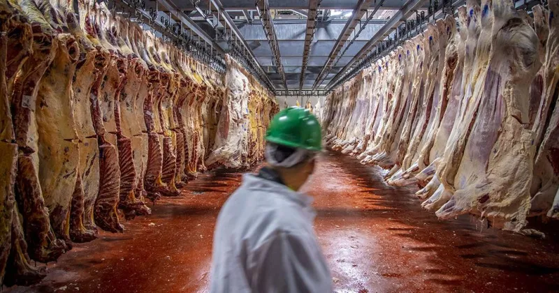 Beef producers 'disappointed' by President Donald Trump tariff suspension