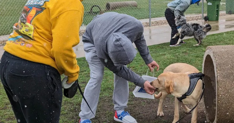 Waverly to spray dog park for weeds Wednesday