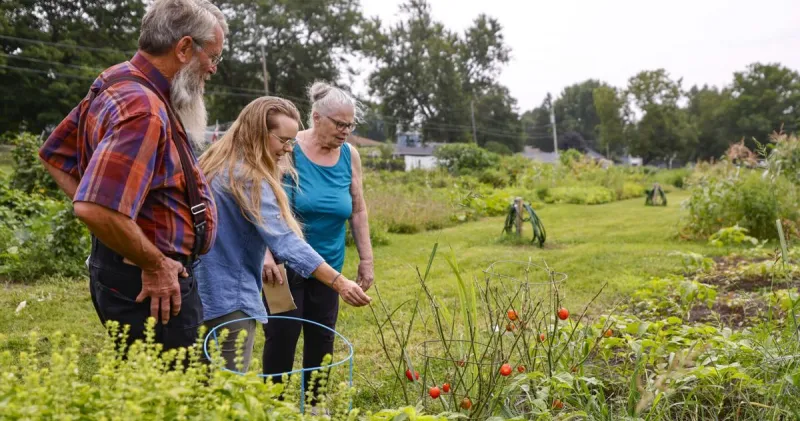 Thriving garden plots at Central Christian Church bring the community together