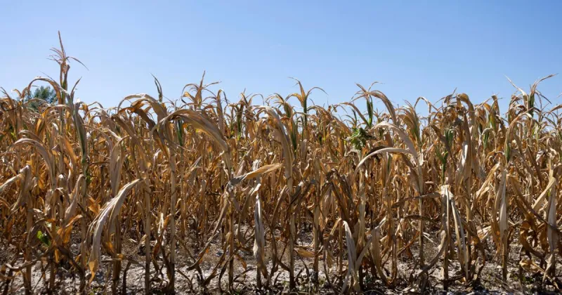 LETTER: Exciting new climate technologies are possible