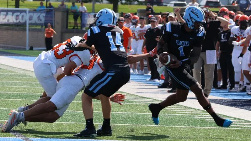Wise wills Peacocks past Jimmies in home opener