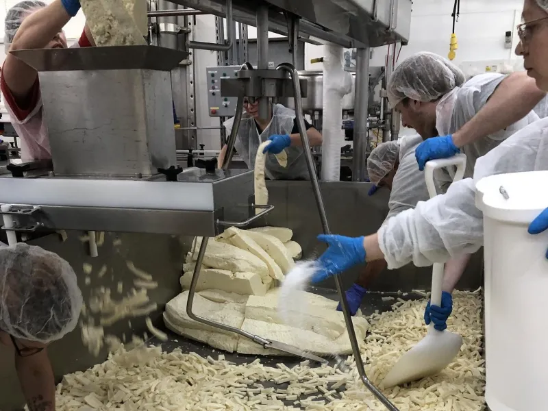 For cheese curds, Waukon dairy leads the whey