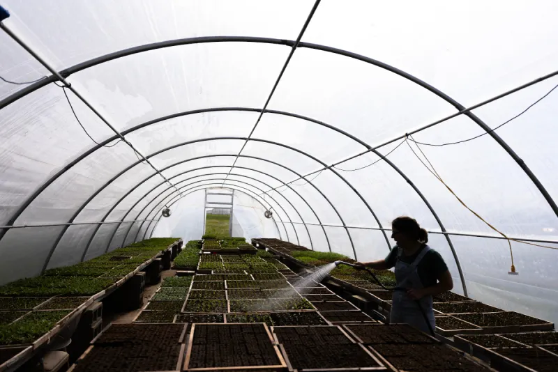 Study finds little evidence that Iowa's Beginning Farmer Tax Credit has been effective