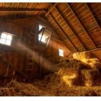Barn to be wild? Celebrate the sturdy farm structures on Iowa's Barn Tour