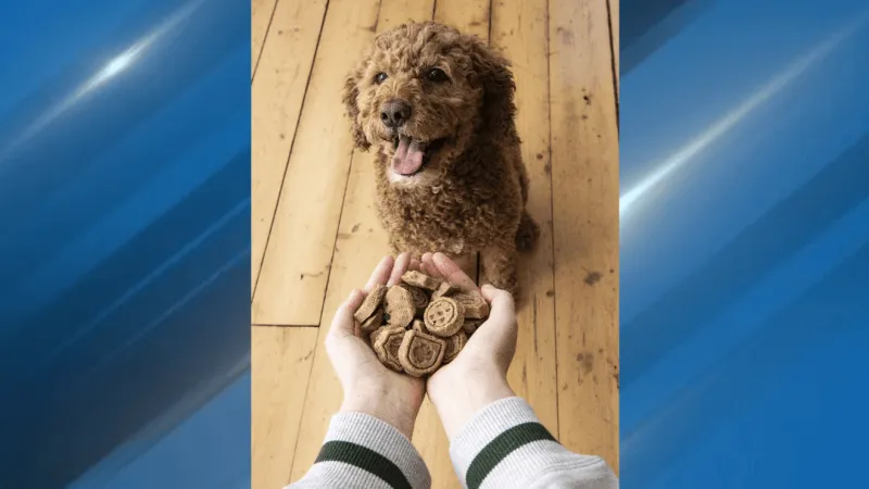 Girl Scouts debut dog treats and first cookie for people with food allergies