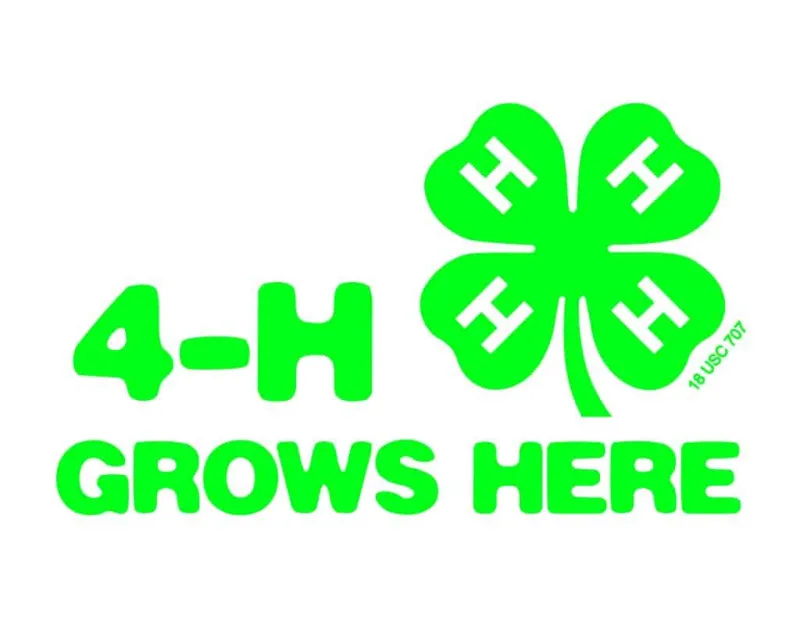 4-H Enrollment Now Open in Cass County