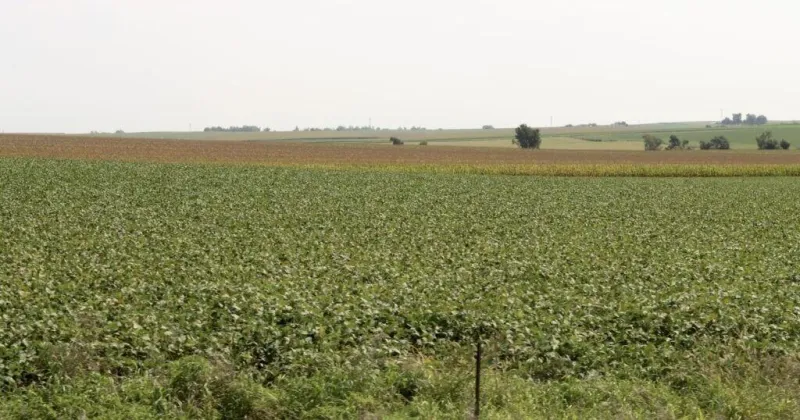 Start of September was 'one of the warmest' on record as harvest nears
