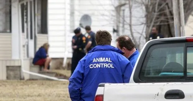 What to know about proposed Black Hawk County animal mauling ordinance